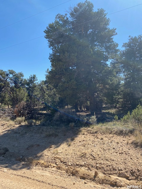 #332+, Fruitland, UT 84027