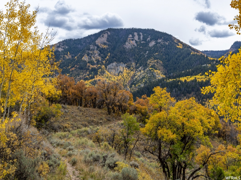 672 Carson Ln, Oakley, UT 84055