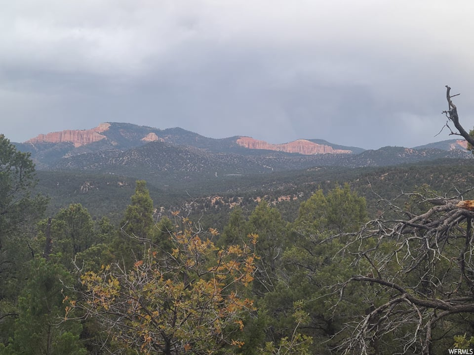 #17, Kanab, UT 84741