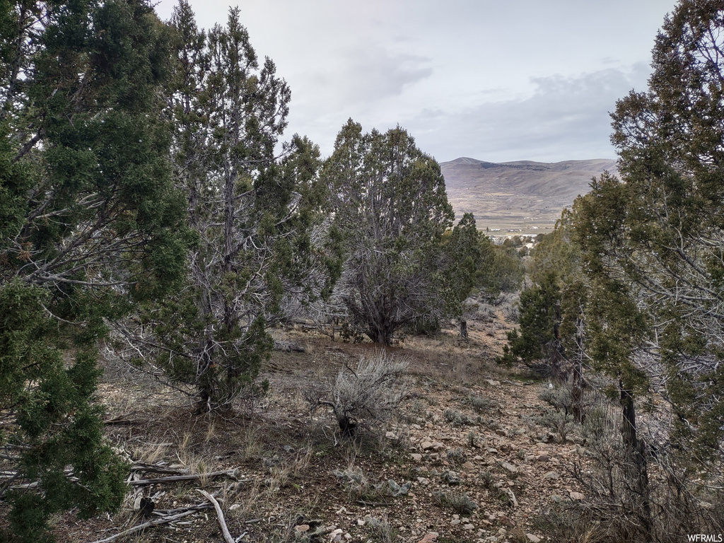 33886 N 8300 E, Fairview, UT 84629