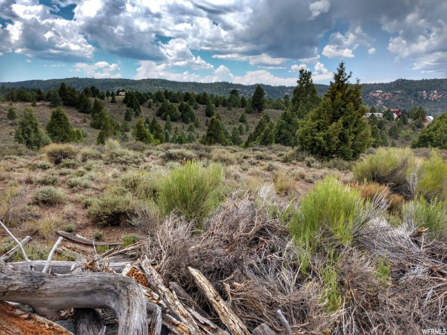 3225  UINTA DR Alton, UT 84710