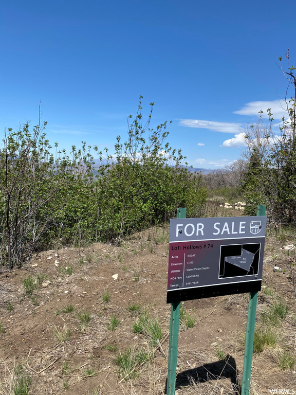 23449 N 13835 E #74, Fairview, UT 84629