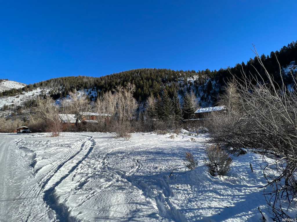 #319, Kamas, UT 84036