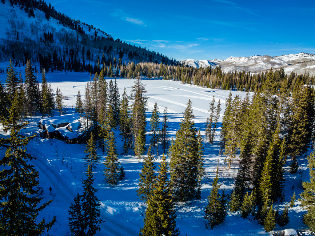 12415 E Willow Loop Rd S #1, Brighton, UT 84121