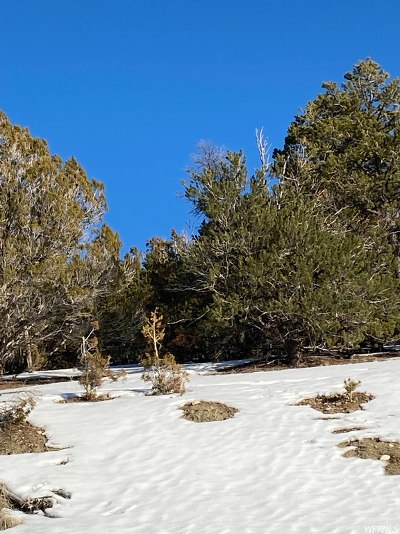 #115, Indianola, UT 84629