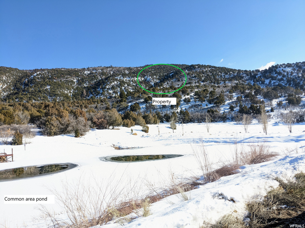 #20, Spring City, UT 84662