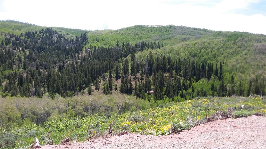 #27, Paradise, UT 84328