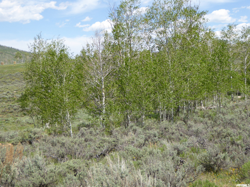 #59, Scofield, UT 84526