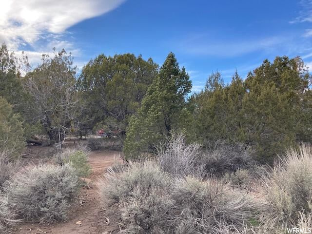 149 E Forest Dr #3, Central, UT 84722