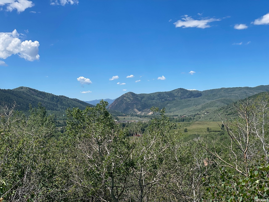 1 Hoback #1, Oakley, UT 84055