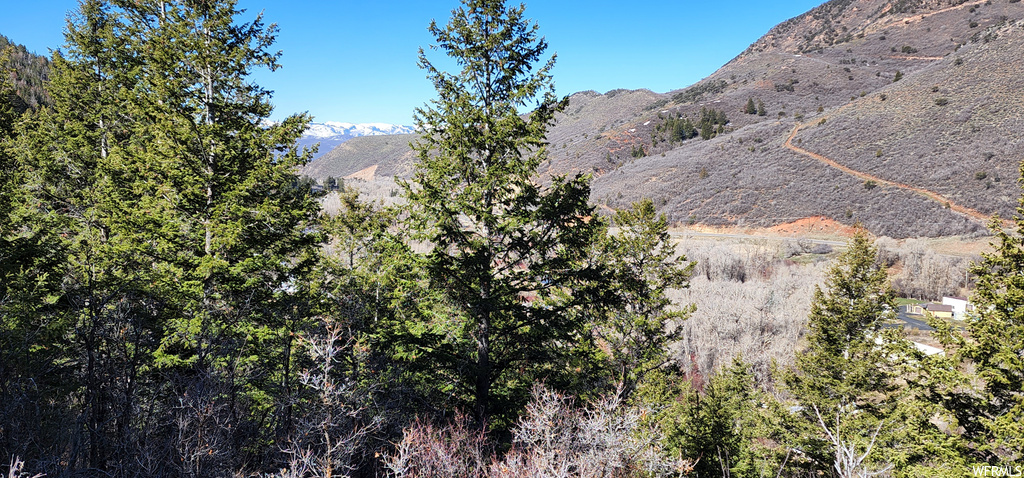 199 E Weber Wild Rd, Oakley, UT 84055