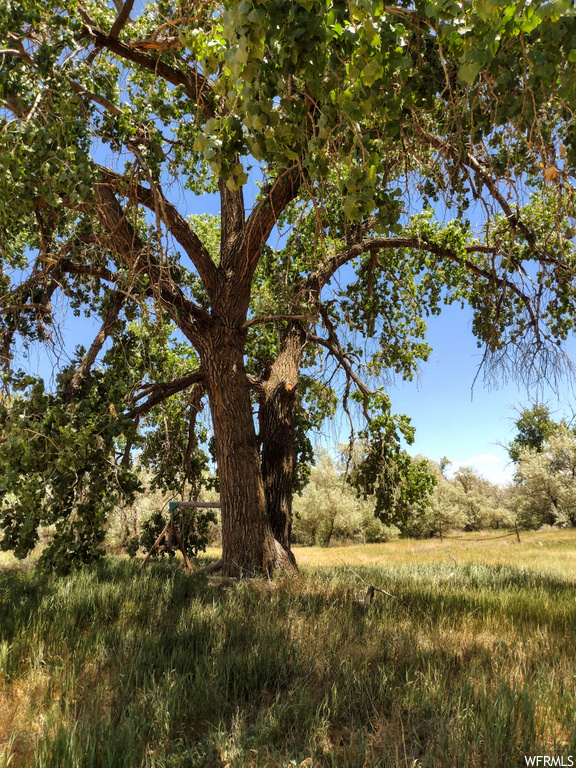 1773 S 1500 E, Naples, UT 84078