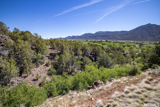 #241, New Harmony, UT 84757