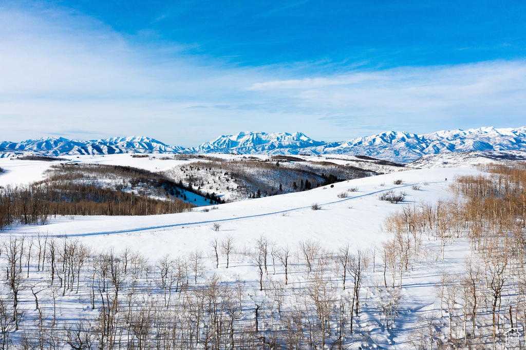 View of mountain feature