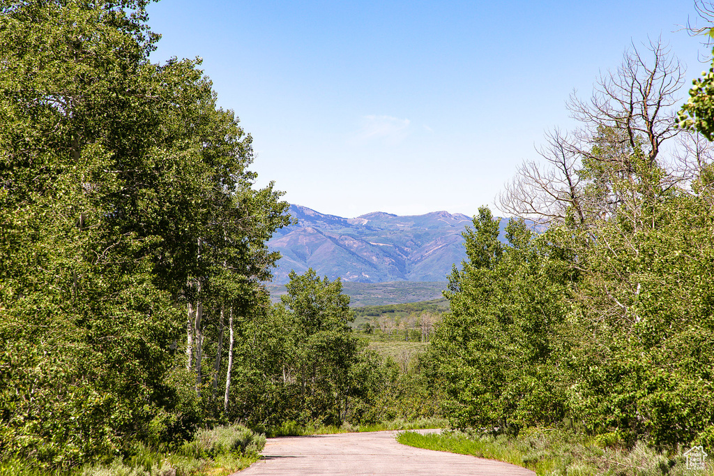 View of property view of mountains