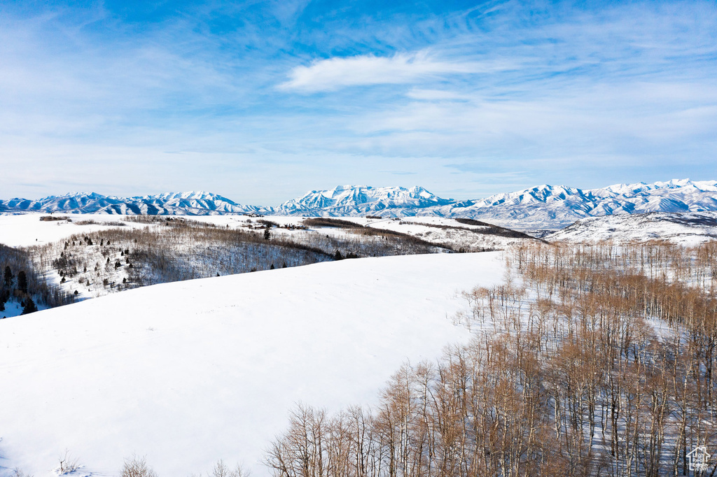 View of mountain view