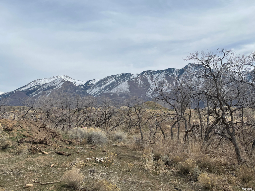 977 E Deer Crest Ln N #3, Alpine, UT 84004