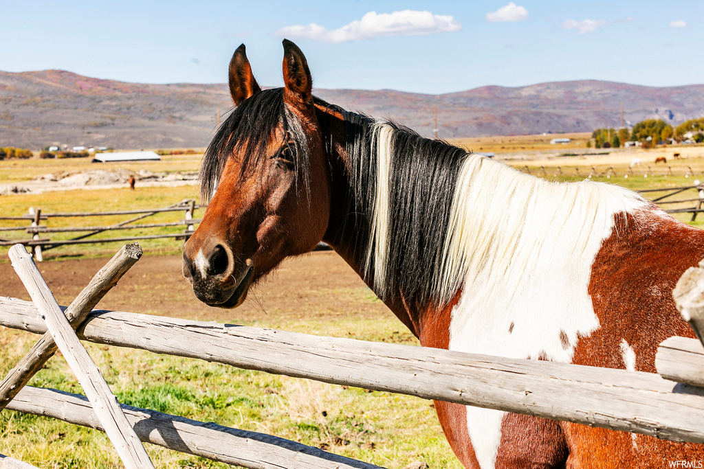 1181  BIG SKY TRL Francis, UT 84036