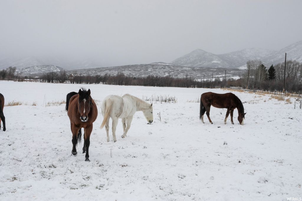 1181  BIG SKY TRL Francis, UT 84036