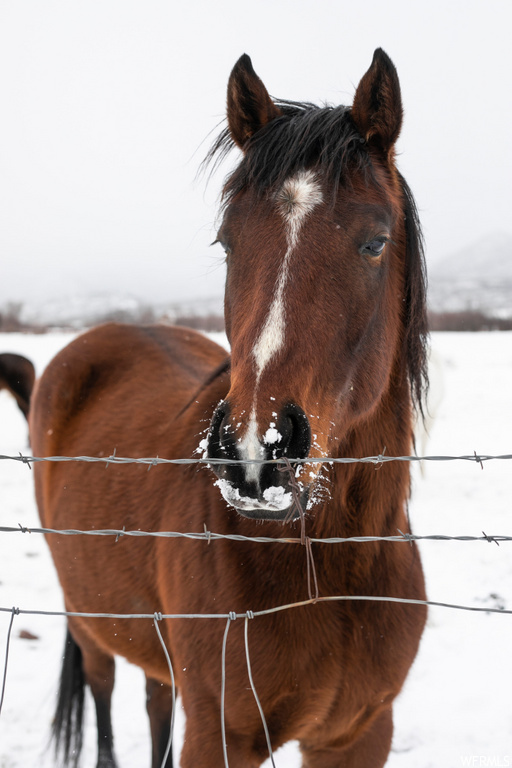 1181  BIG SKY TRL Francis, UT 84036