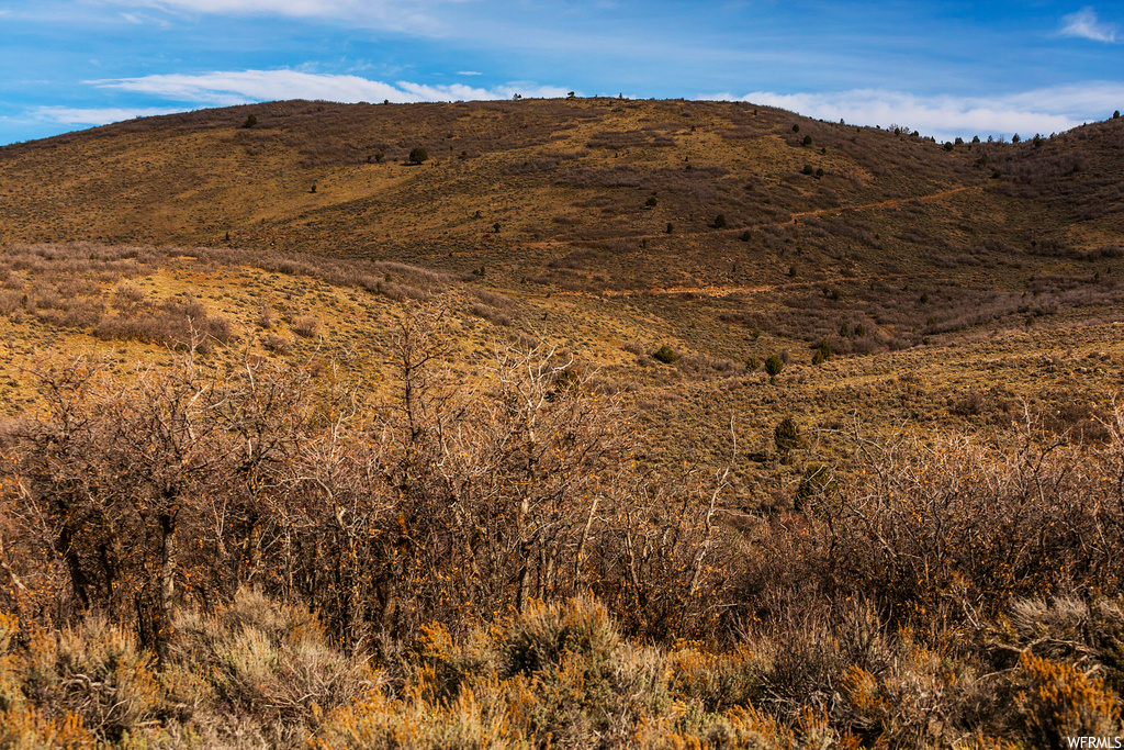 1181  BIG SKY TRL Francis, UT 84036