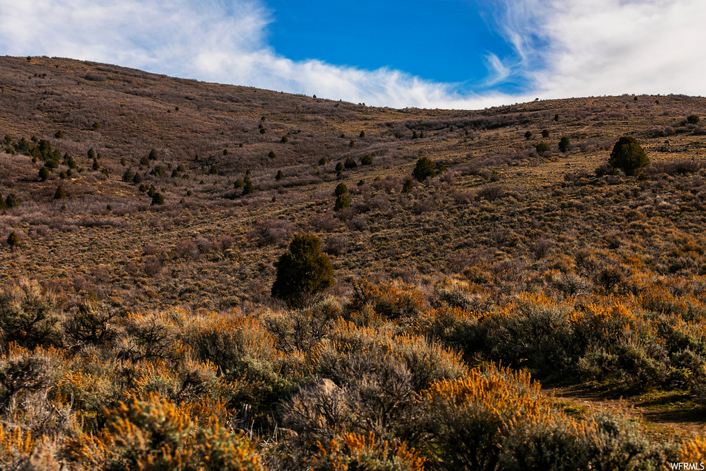 1181  BIG SKY TRL Francis, UT 84036
