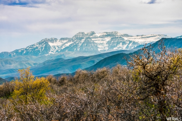 2282 E Perches Dr #70, Hideout, UT 84036