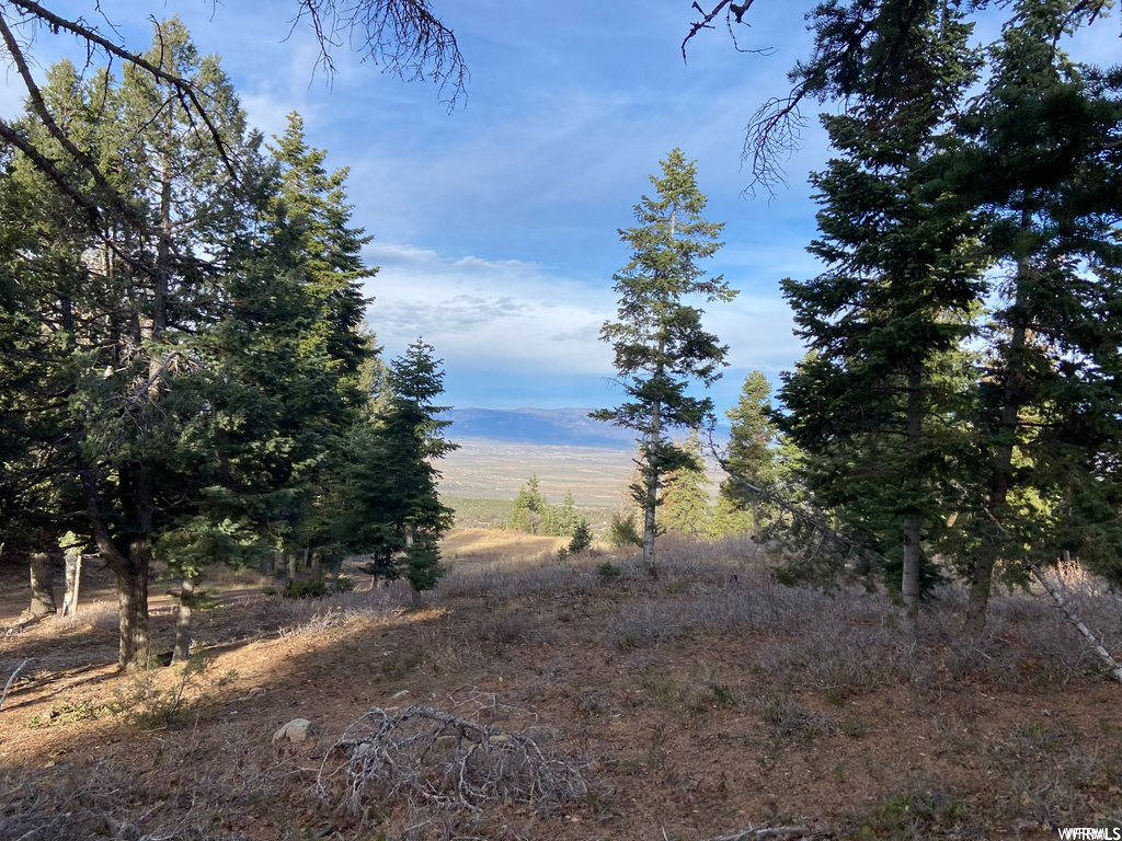#71, Mt Pleasant, UT 84647