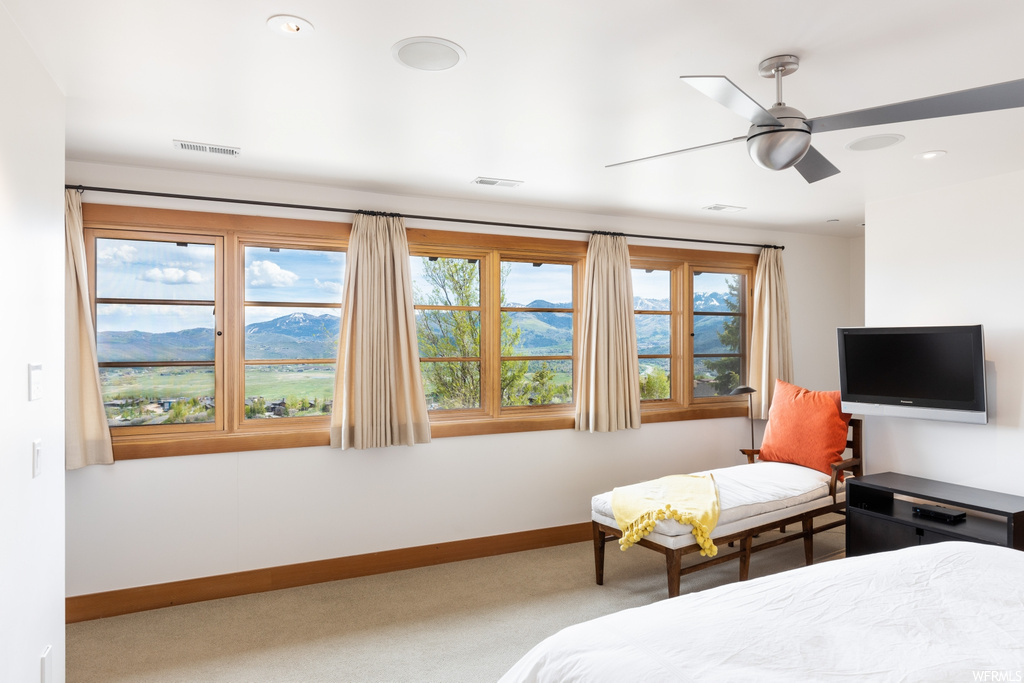 carpeted bedroom featuring natural light, a ceiling fan, and TV
