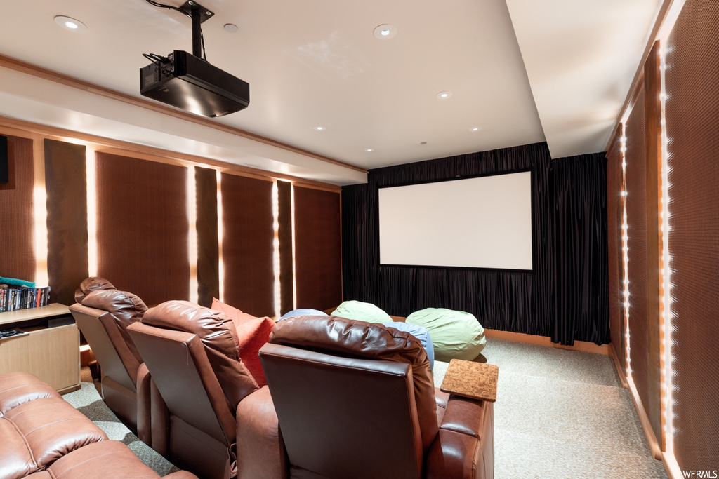 view of carpeted home theater
