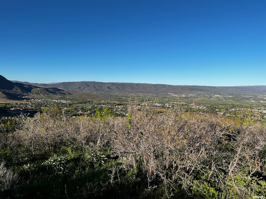63 Switzer Dr #63, Midway, UT 84049