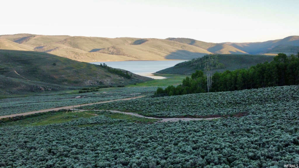#89, Scofield, UT 84526