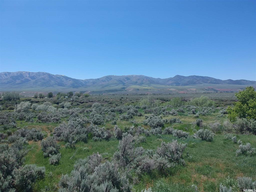 McCammon, ID 83250
