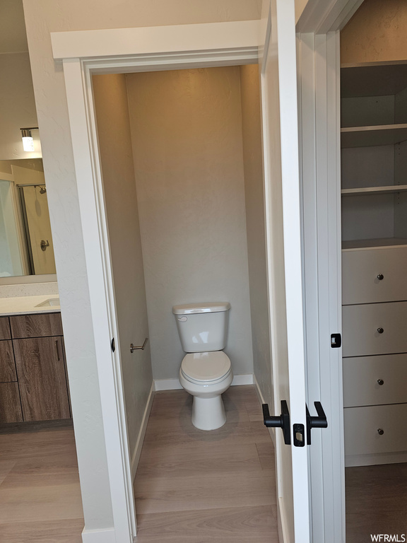 Bathroom with large vanity, mirror, and light hardwood flooring