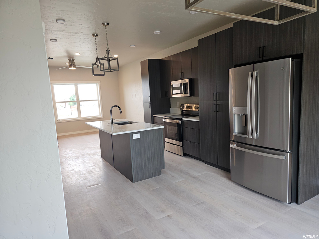 Kitchen with appliances with stainless steel finishes, light hardwood floors, and dark brown cabinetry