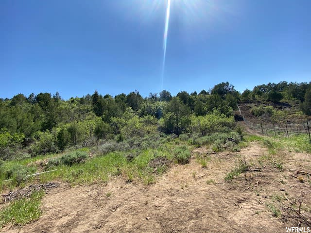 #163, Mt Pleasant, UT 84647