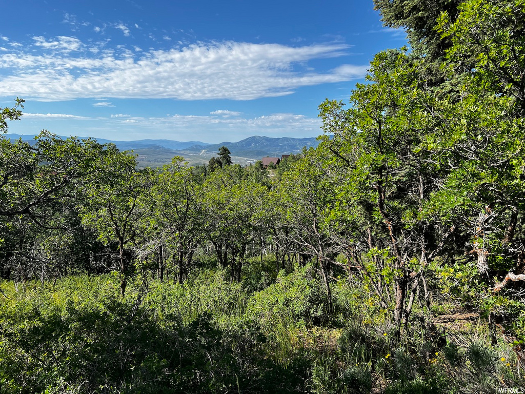 2484 Forest Meadow Rd, Wanship, UT 84017