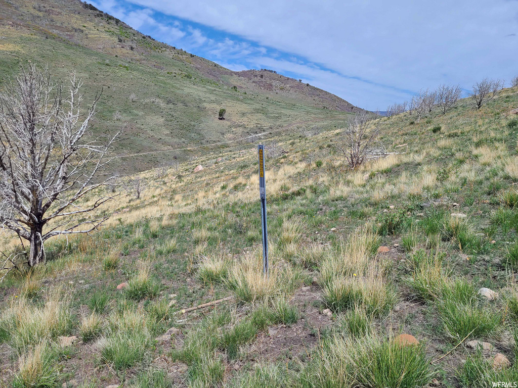 view of mountain feature