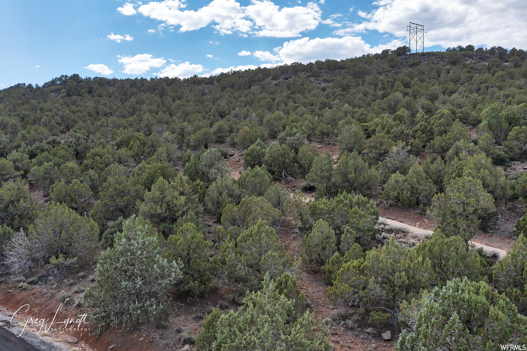 266  JUNIPER WAY New Harmony, UT 84757