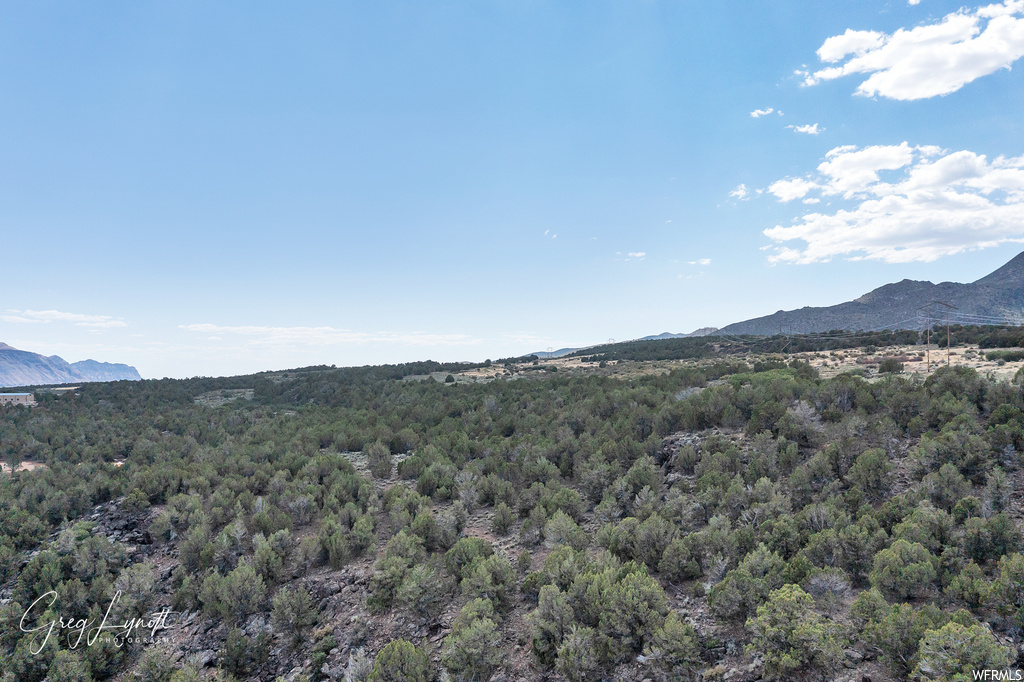 266  JUNIPER WAY New Harmony, UT 84757