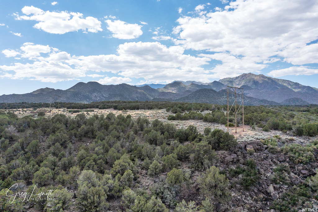 266  JUNIPER WAY New Harmony, UT 84757