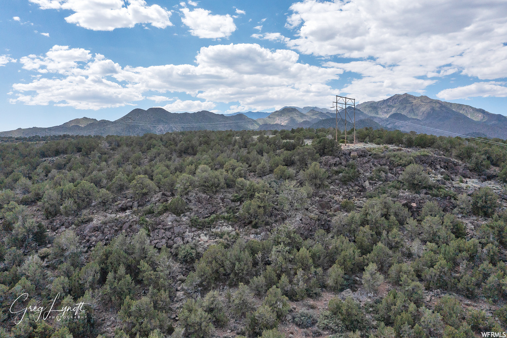 266  JUNIPER WAY New Harmony, UT 84757