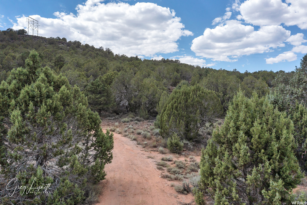 266  JUNIPER WAY New Harmony, UT 84757