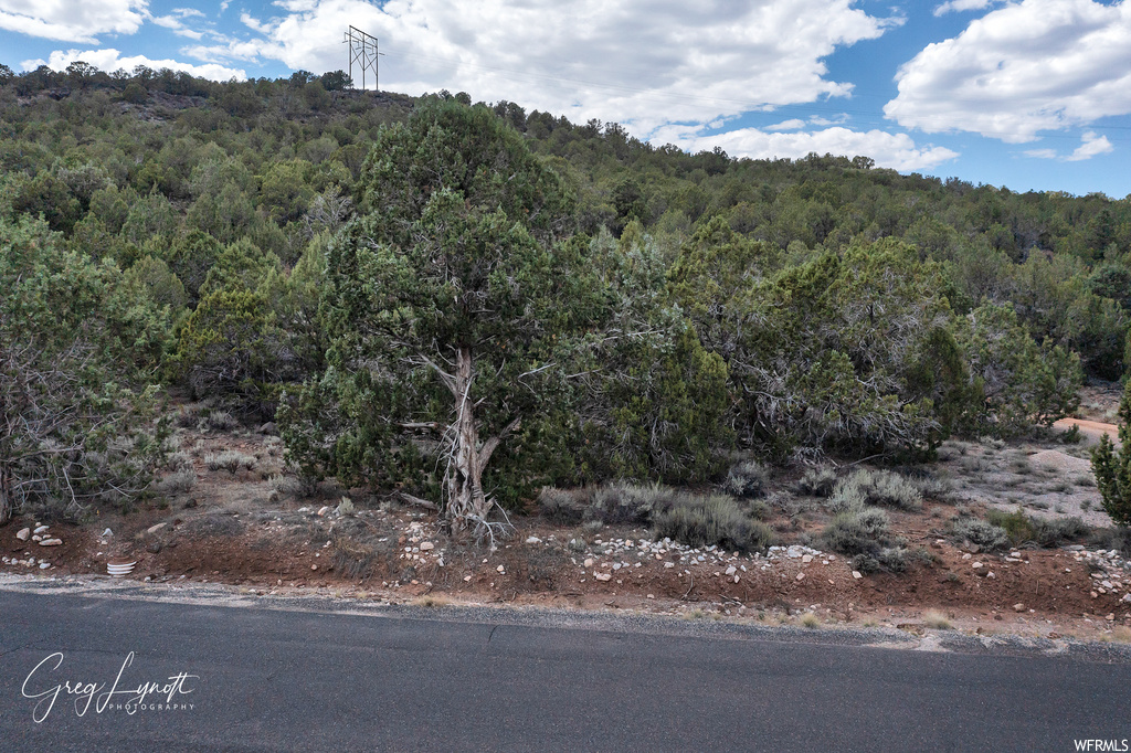 266  JUNIPER WAY New Harmony, UT 84757