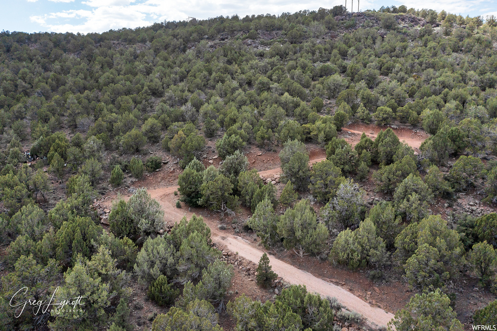 266  JUNIPER WAY New Harmony, UT 84757