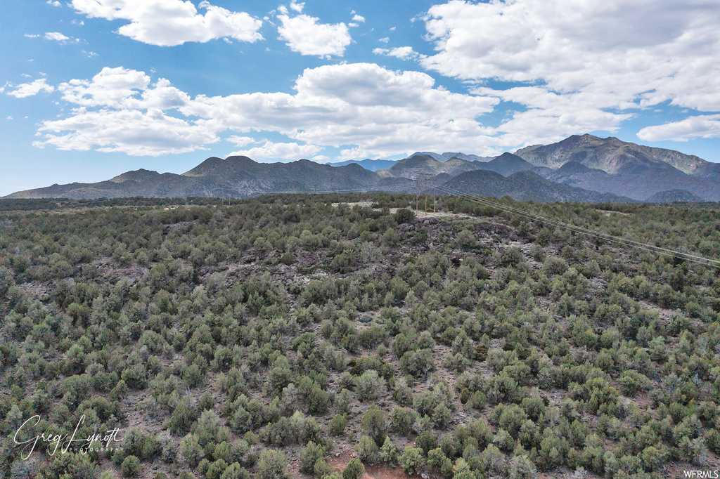 266  JUNIPER WAY New Harmony, UT 84757