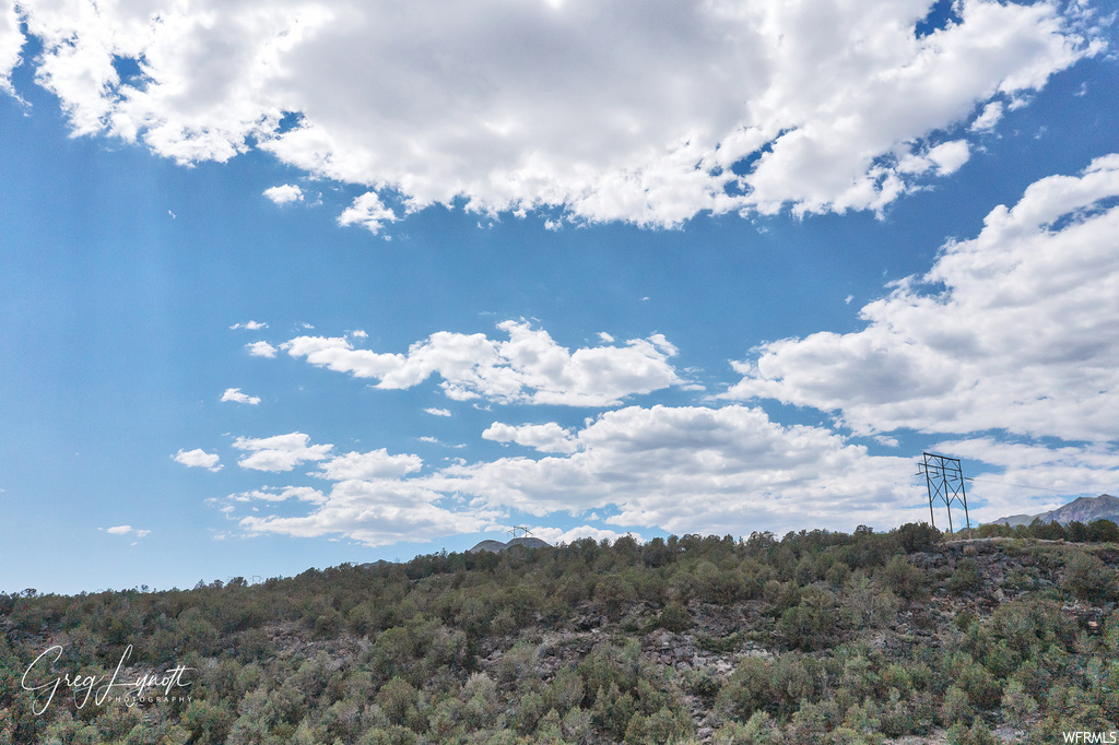 266  JUNIPER WAY New Harmony, UT 84757