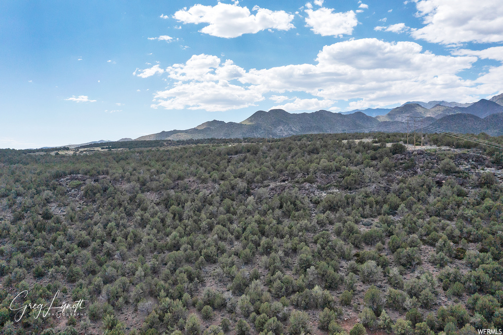 266  JUNIPER WAY New Harmony, UT 84757