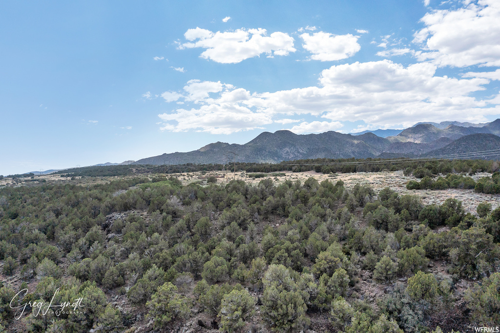 266  JUNIPER WAY New Harmony, UT 84757
