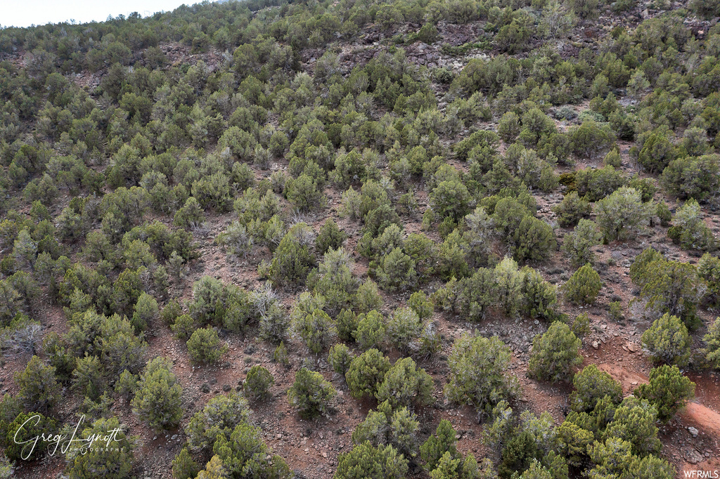 266  JUNIPER WAY New Harmony, UT 84757